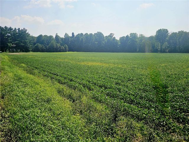 Clinton Road, Brutus, NY 13166