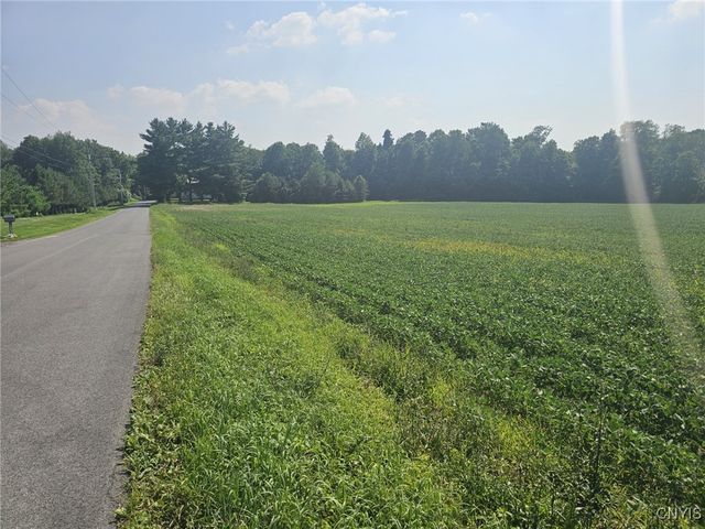 Clinton Road, Brutus, NY 13166