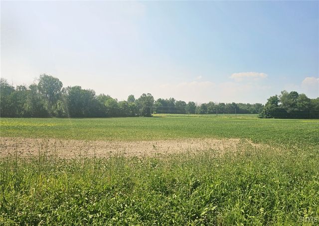 Clinton Road, Brutus, NY 13166