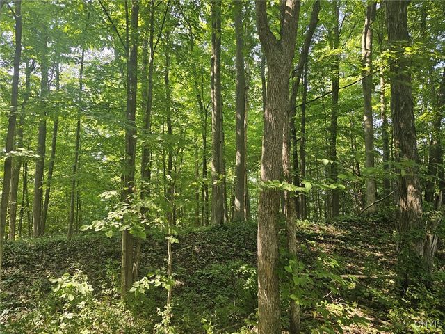 Clinton Road, Brutus, NY 13166