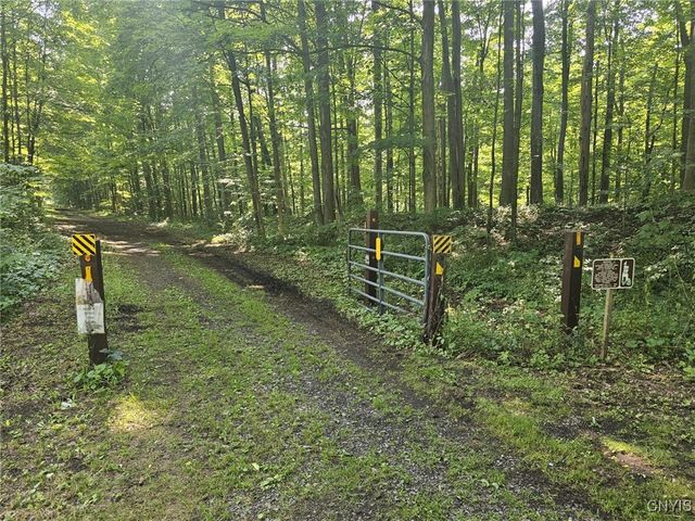 Clinton Road, Brutus, NY 13166