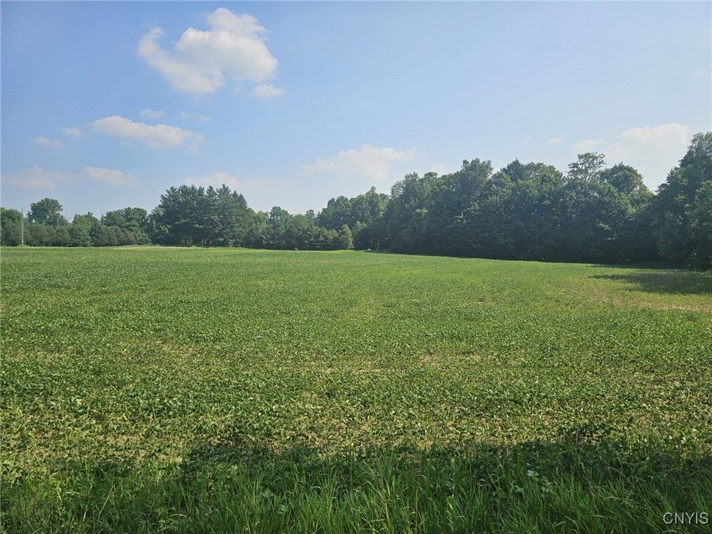 Clinton Road, Brutus, NY 13166