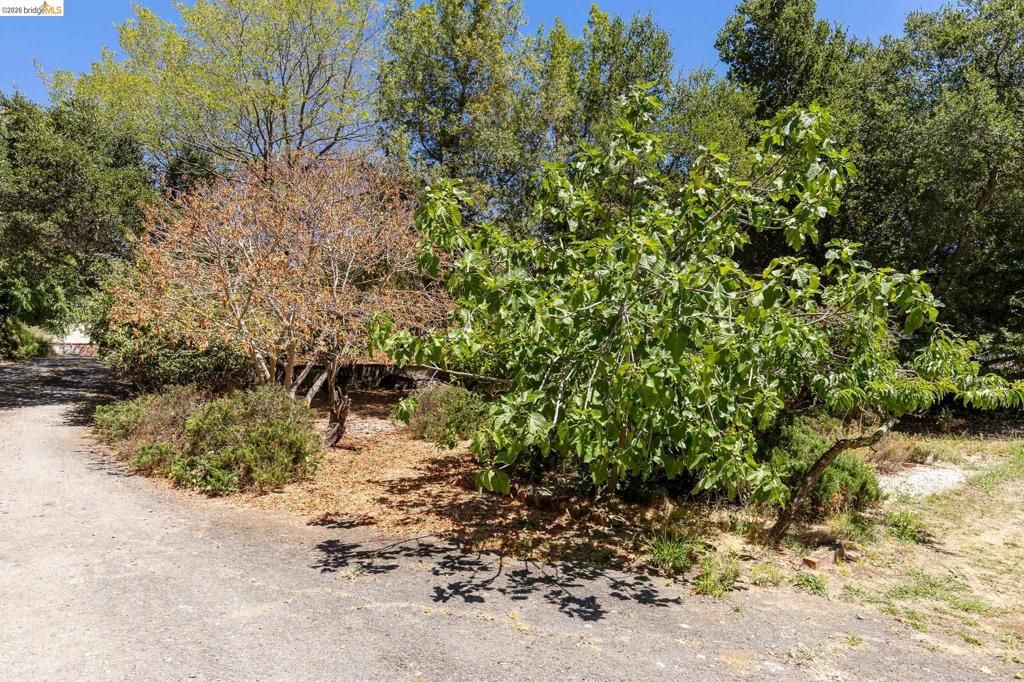 Image 38 of property listing at 8975 Golf Links Rd, Oakland, CA 94605