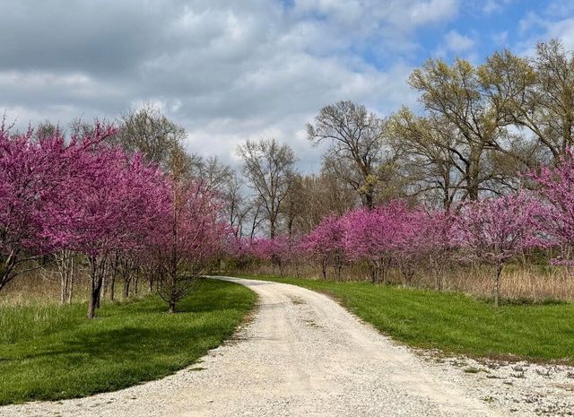 8150 E NEW HAVEN RD, Columbia, MO 65201