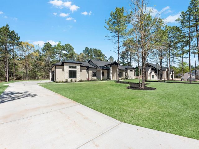25096 Seguin Trail, Montgomery, TX 77316