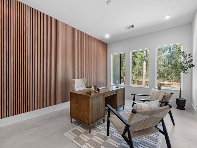 25096 Seguin Trail, Montgomery, TX 77316