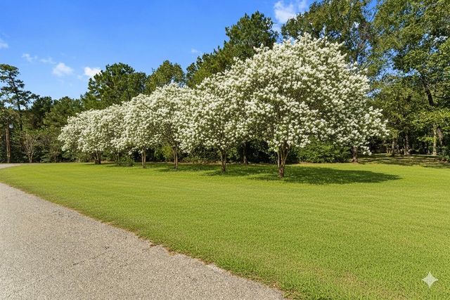 102 Forest Wind Court, Montgomery, TX 77316