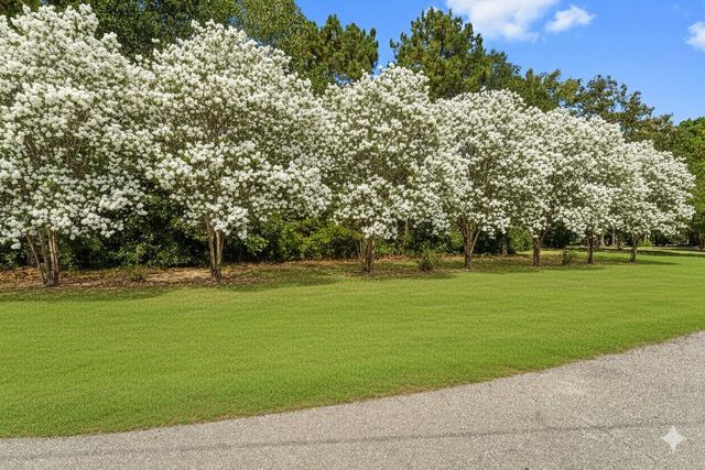 102 Forest Wind Court, Montgomery, TX 77316