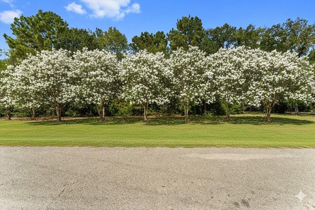 102 Forest Wind Court, Montgomery, TX 77316