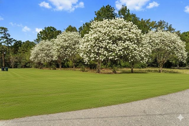 102 Forest Wind Court, Montgomery, TX 77316