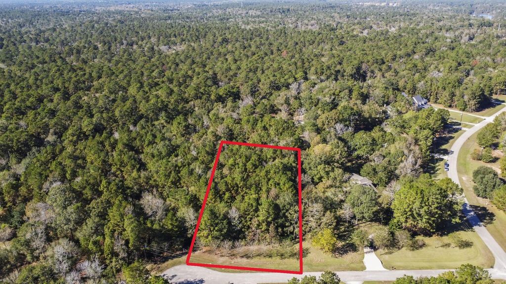 102 Forest Wind Court, Montgomery, TX 77316