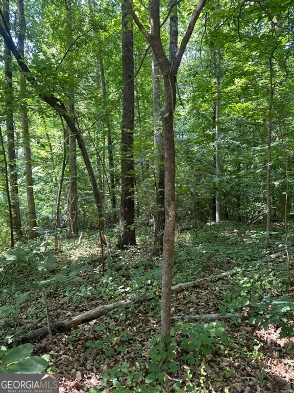 LOT 144 Lewis Drive, Lavonia, GA 30553 — photo 2