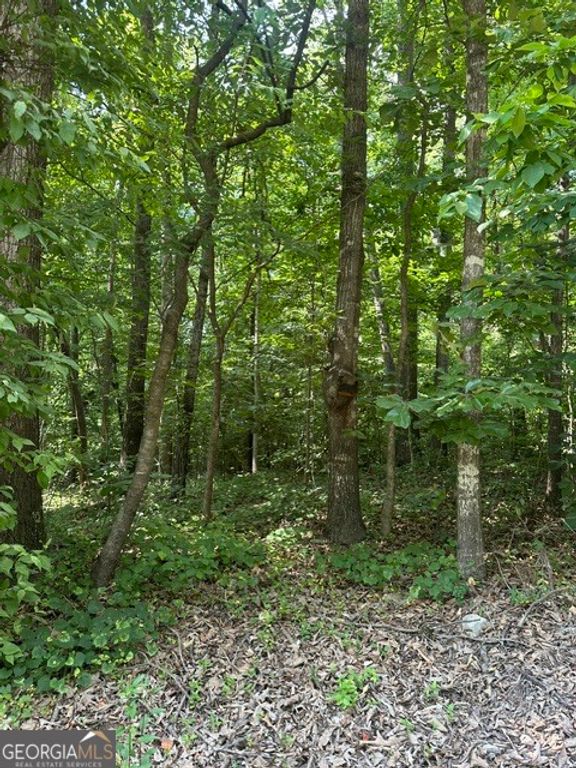LOT 144 Lewis Drive, Lavonia, GA 30553 — photo 3