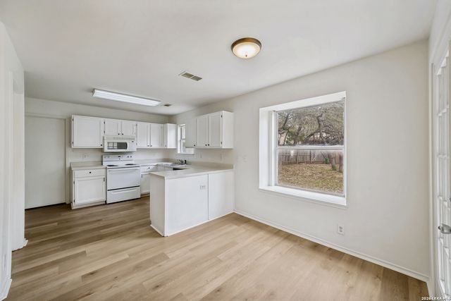 1218 Lion, San Antonio, TX 78251