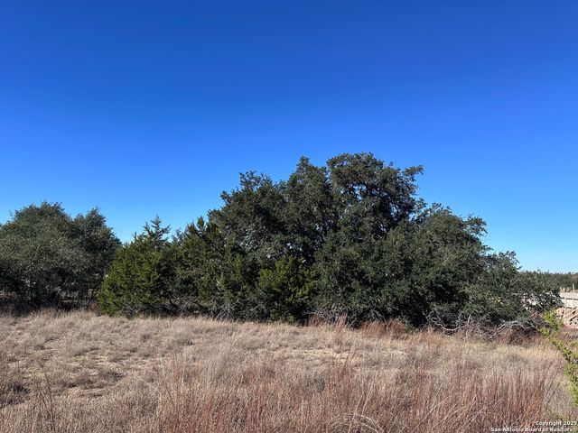 107 Solomon Adams, Blanco, TX 78606