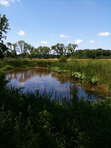 26288 N FARWELL Road, Mettawa, IL 60045