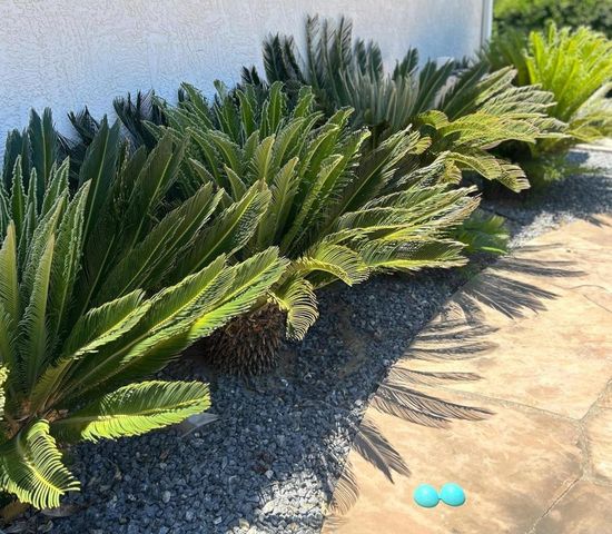 18822 Possum Pass, Valley Center, CA 92082