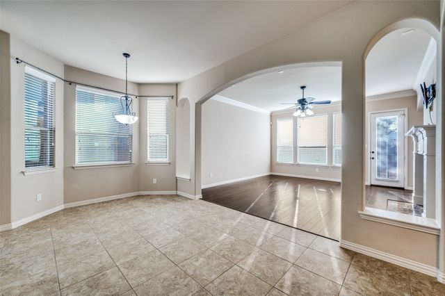 905 Cougar Drive, Allen, TX 75013