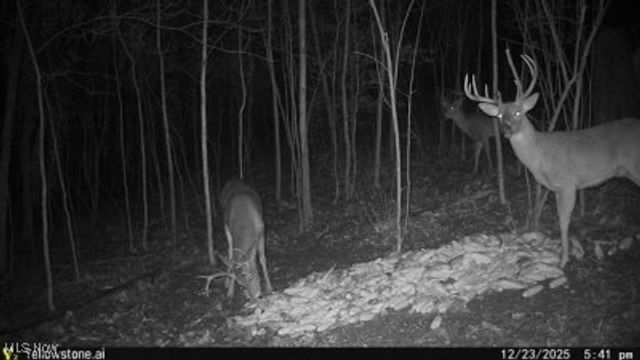 6257 Caddy Road SW, Bowerston, OH 44695