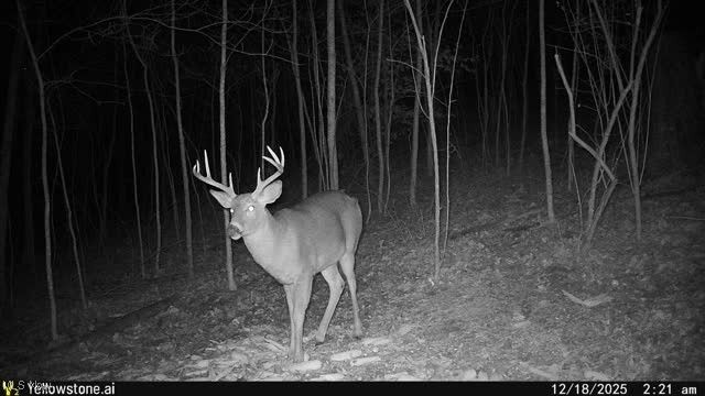 6257 Caddy Road SW, Bowerston, OH 44695