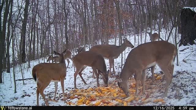 6257 Caddy Road SW, Bowerston, OH 44695