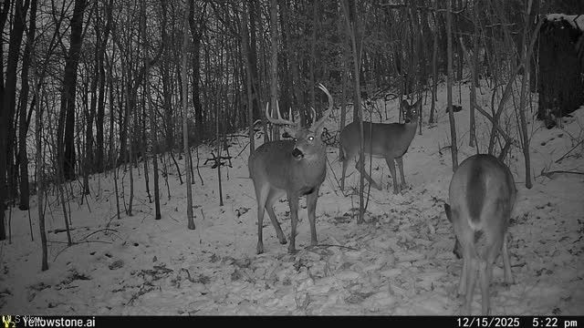 6257 Caddy Road SW, Bowerston, OH 44695