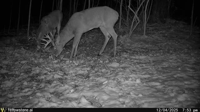 6257 Caddy Road SW, Bowerston, OH 44695