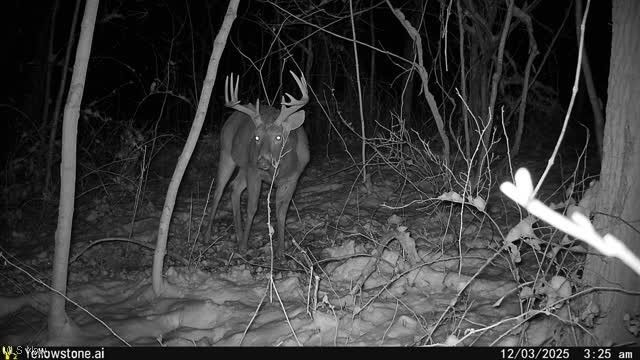 6257 Caddy Road SW, Bowerston, OH 44695