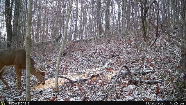 6257 Caddy Road SW, Bowerston, OH 44695