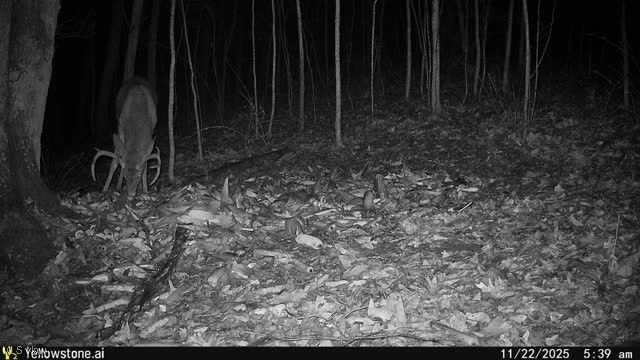 6257 Caddy Road SW, Bowerston, OH 44695