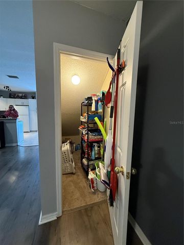 10433 HERON LAKE DRIVE, Riverview, FL 33578