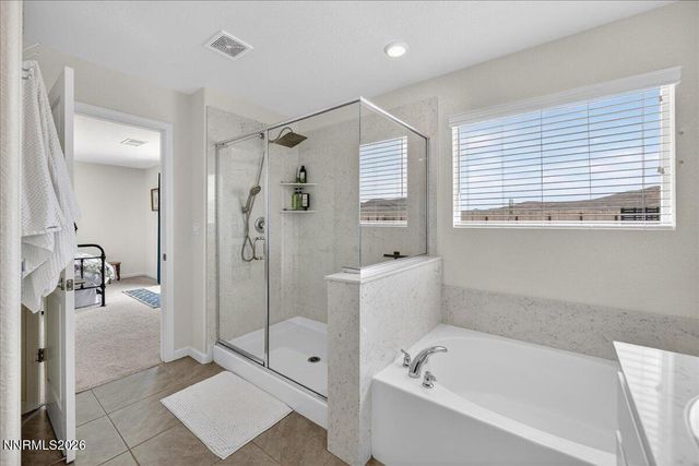 578 Pine Creek Circle, Dayton, NV 89403