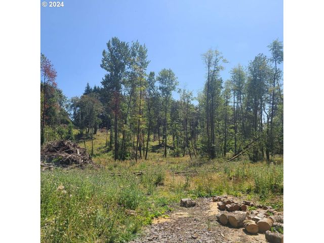 11989 Se ZION HILL Dr, Damascus, OR 97089