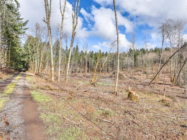 11989 Se ZION HILL Dr, Damascus, OR 97089