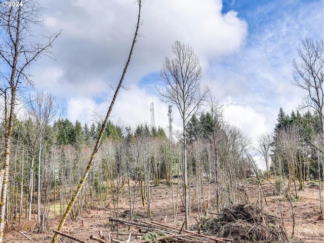 11989 Se ZION HILL Dr, Damascus, OR 97089