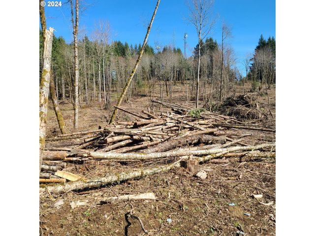 11989 Se ZION HILL Dr, Damascus, OR 97089