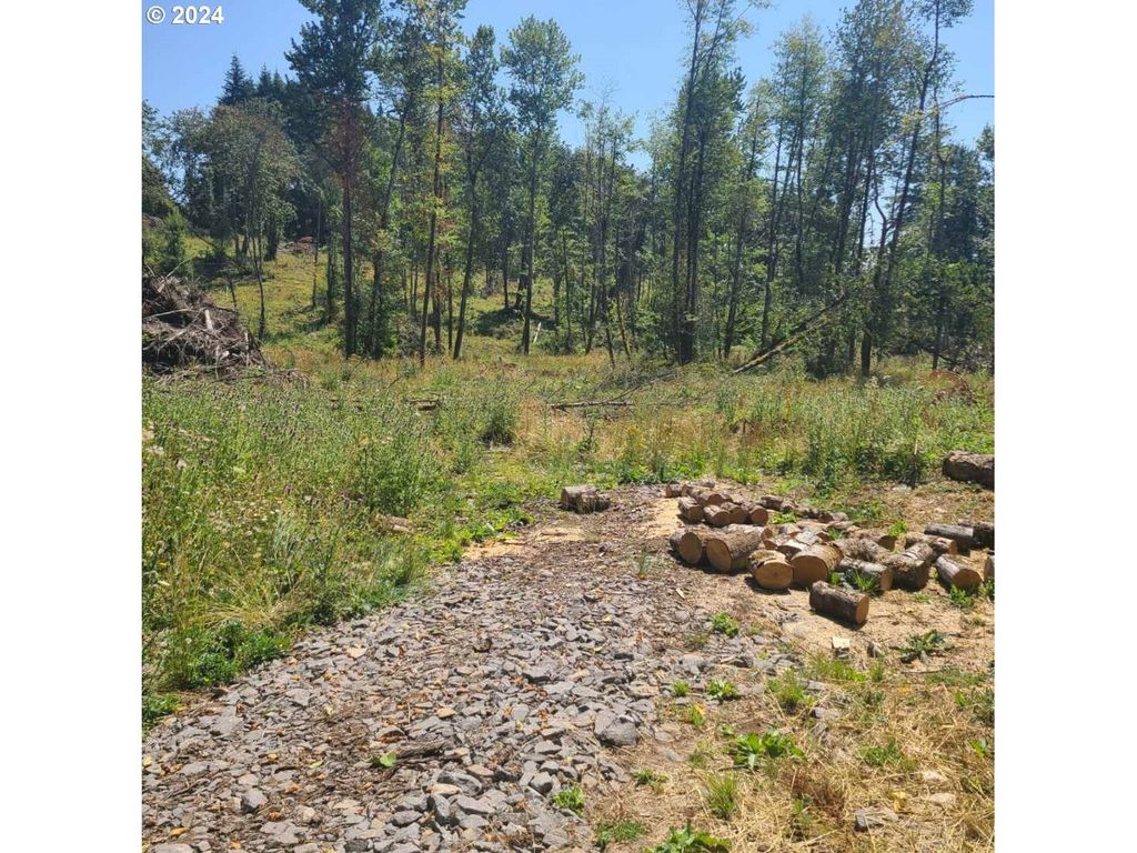11989 Se ZION HILL Dr, Damascus, OR 97089