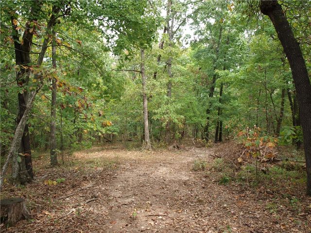 TBD W Tanyard Hollow Road, Bentonville, AR 72712