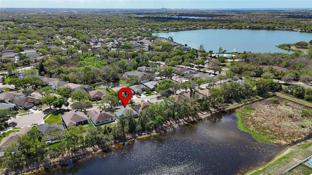 10018 CANNON DRIVE, Riverview, FL 33578