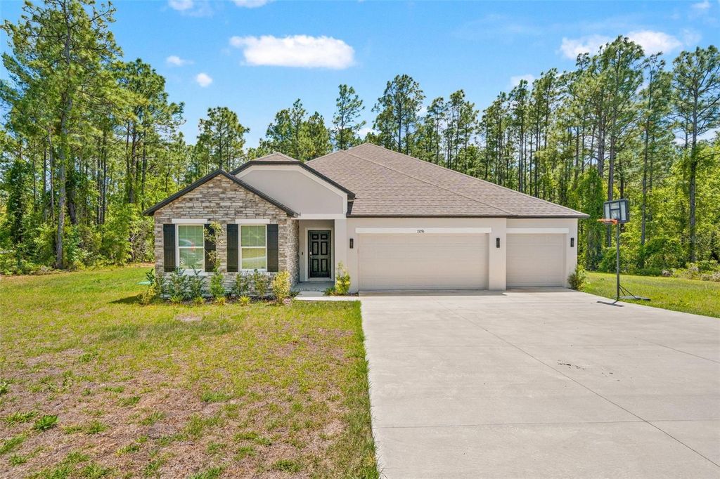 13296 THRASHER AVENUE, Weeki Wachee, FL 34614