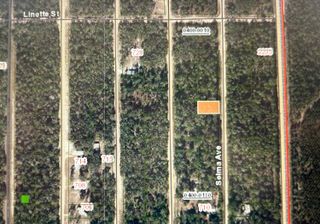 0A Selma Avr, Interlachen, FL 32148