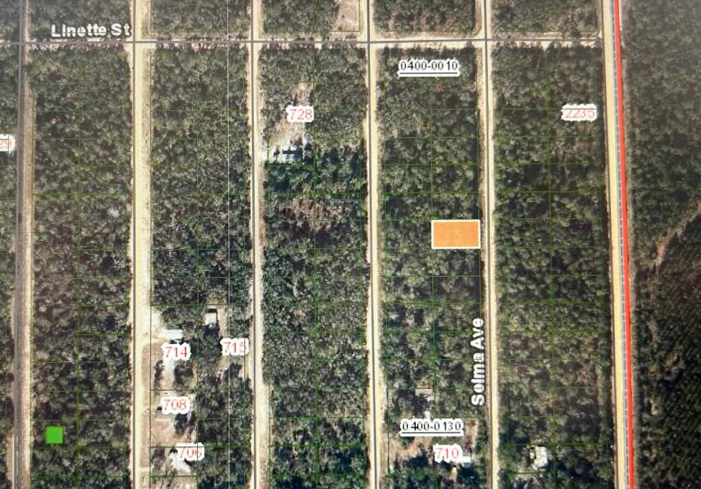 0A Selma Avr, Interlachen, FL 32148
