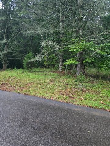 Lot B & W Ranch Road, Blairsville, GA 30512