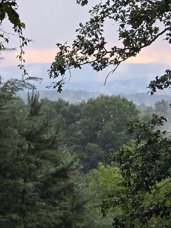 Lot B & W Ranch Road, Blairsville, GA 30512