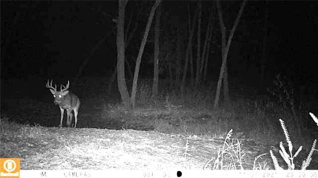 33000 E 331st Street, Garden City, MO 64747