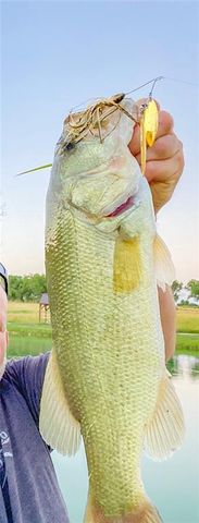 33000 E 331st Street, Garden City, MO 64747