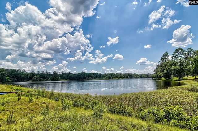 414 Litchfield Lane, Lexington, SC 29072