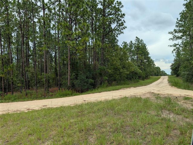 SW TBD SW 125TH COURT ROAD, Ocala, FL 34481
