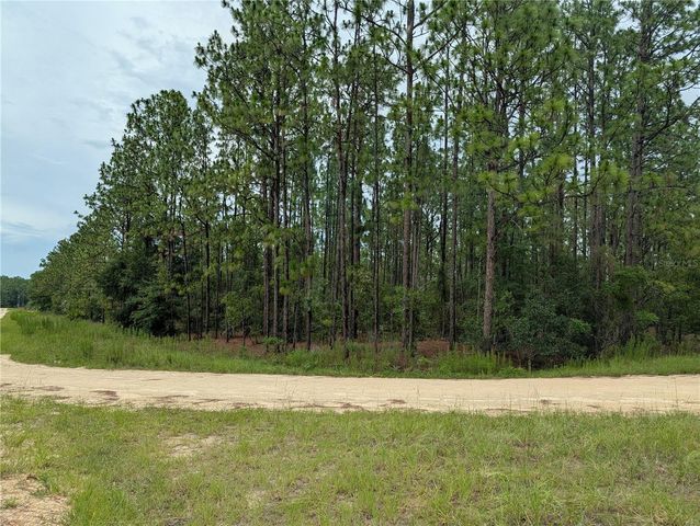 SW TBD SW 125TH COURT ROAD, Ocala, FL 34481