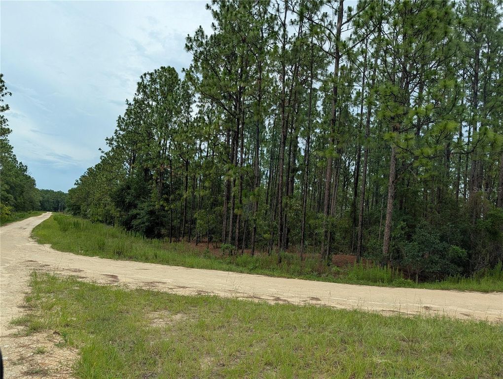 SW TBD SW 125TH COURT ROAD, Ocala, FL 34481